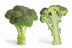 Broccoli+nutrition+label