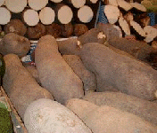Calories In Yam